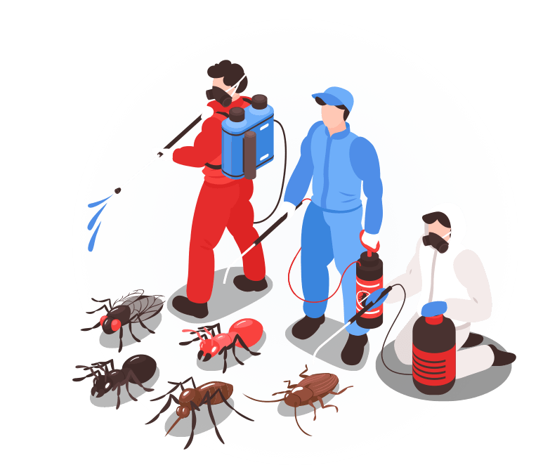 Pest Control Graphic