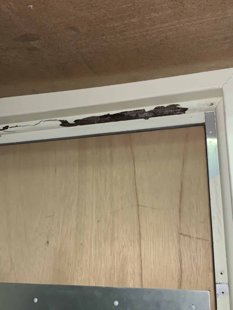 Wood Damaged by Termites