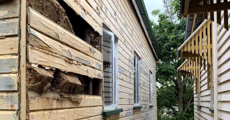 5 Signs Your House May Have Termites