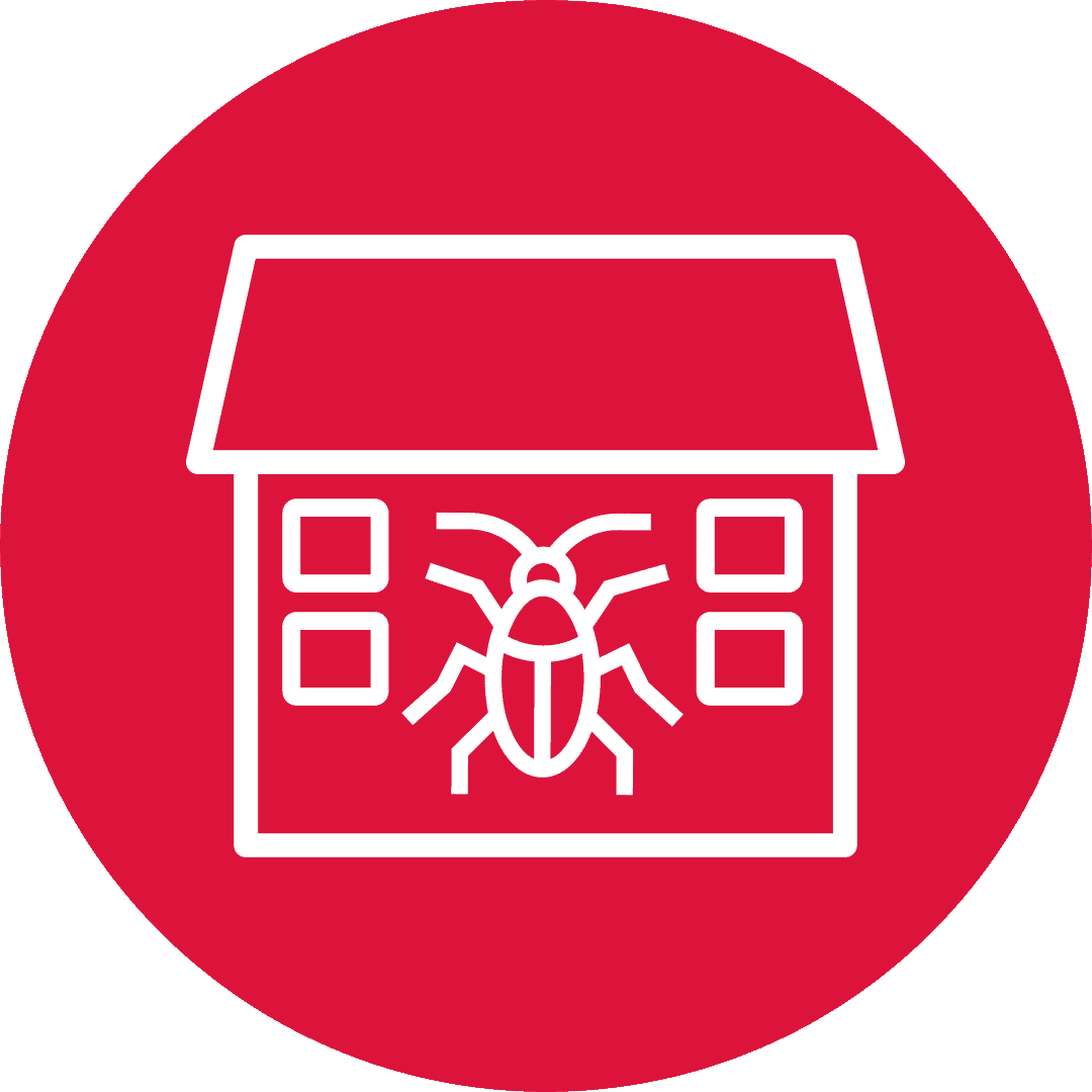 Cockroach Control Business Icon